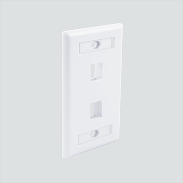 Manufacturer photo shows one white 2-port faceplate with ID windows. This listing supplies 1 white faceplate.