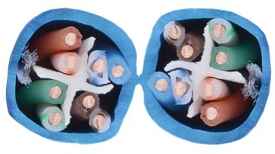 24-8P-L6-SIAM-YEL Category 6 U/UTP EN Series 23 AWG 4 Pair Unshielded Cable