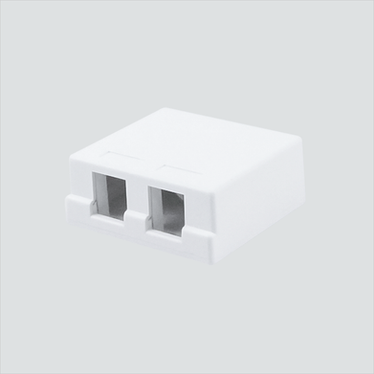 Manufacturer photo shows one white 2-port unloaded surface-mount box. This listing supplies one Ivory box; the white photo illustrates the form, not the selected color.